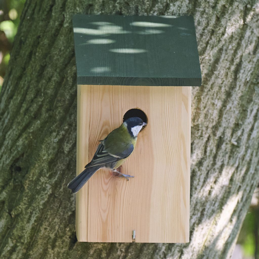 Wooden nest box for small garden birds - CJ Wildlife